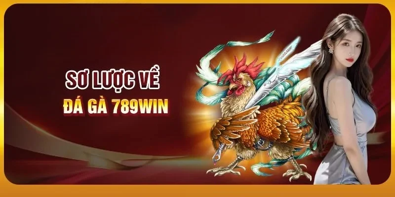 da-ga-789win-gioi-thieu