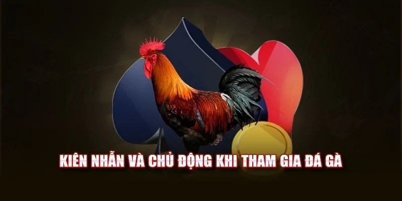 da-ga-789win-kinh-nghiem-choi
