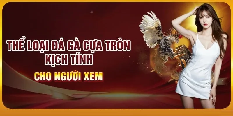 da-ga-789win-nhieu-tran-dau-chat-luong