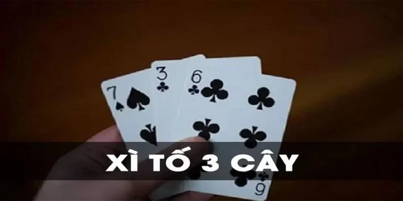 xi-to-3-cay-789win-meo-choi