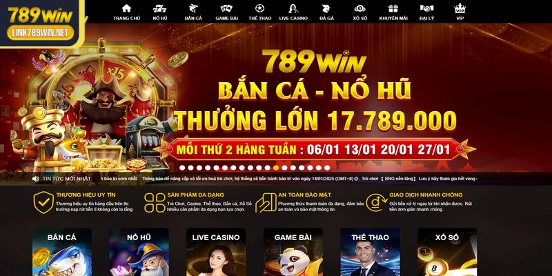 789win-trang-web-chuyen-nghiep